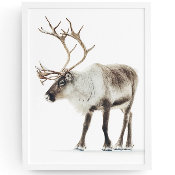 Watercolor Reindeer Portrait Wall Art Print - Deer Poster, Unframed - Winter - Picture 1 of 6